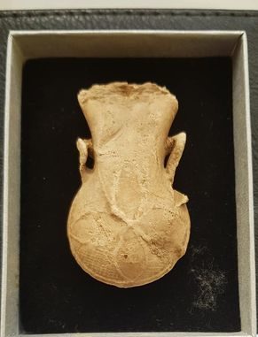 Ampulla